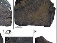 Fotografía de la Universidad de Costa Rica con muestras de meteoritos.
