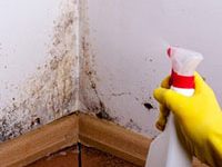 Fotografía de una persona con una botella spray. Se está echando el spray en una pared con moho.