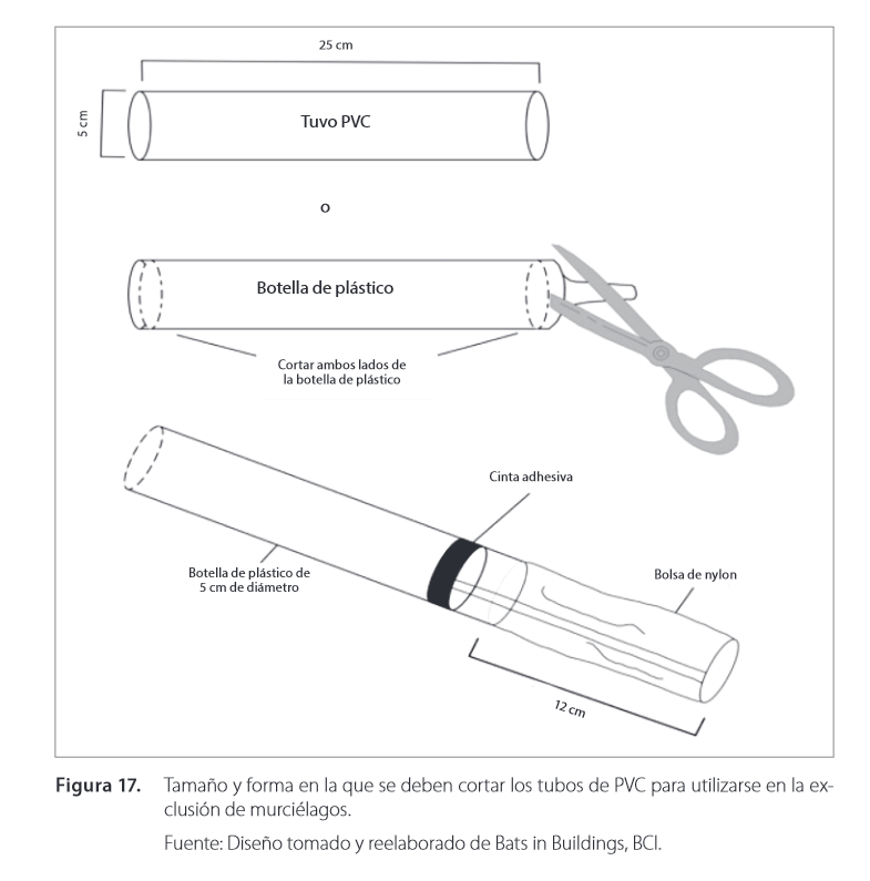 Dibujo que muestra un método de exclusión de murciélagos usando tubos de PVC