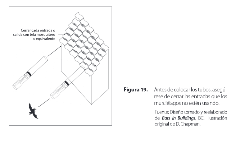 Dibujo que muestra un método de exclusión de murciélagos usando tubos de PVC